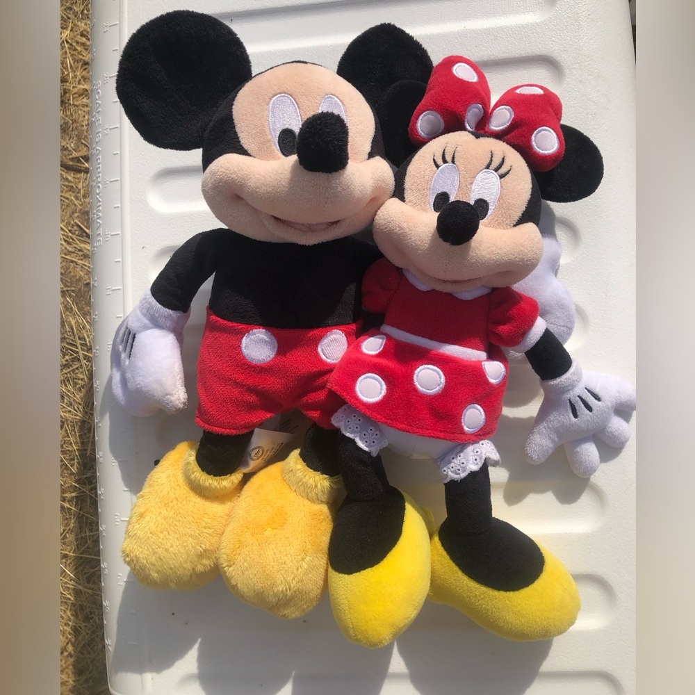 Disney Parks Mickey and Minnie